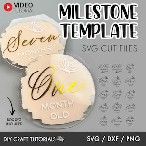 Baby Milestone SVG, Milestone discs svg, Monthly milestone svg, Acrylic Milestone svg, baby announcement, acrylic baby sign, milestone svg