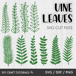 Vine Leaf SVG, Tropical Leaf svg, Jungle svg, Leaf svg, Leaves svg, Tropical svg, plants svg, paper flowers, cricut svg, glowforge svg