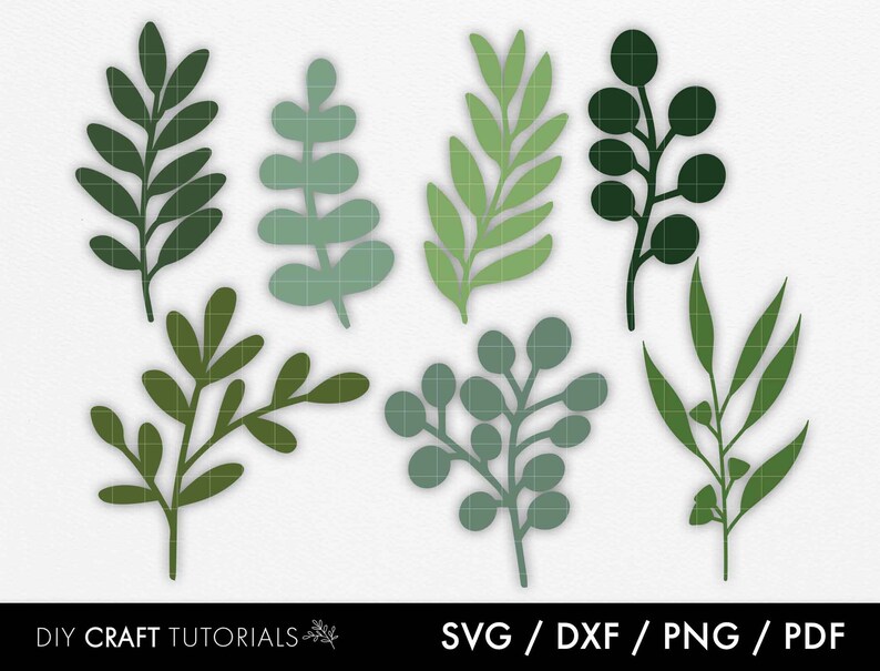 Eucalyptus Svg Leaf Svg Dxf Pdf Eucalyptus Clipart Laser - Etsy