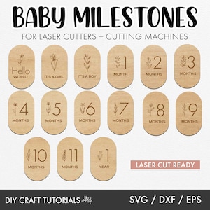 Boho Milestone Discs, Baby Milestone SVG, Baby Milestone Discs Svg, monthly milestone svg, laser cut file, cricut svg, glowforge, xTool svg