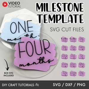 Milestone discs svg, Baby Milestone SVG, Monthly milestone svg, Baby milestone rounds svg, baby announcement svg, brush stroke svg, baby svg