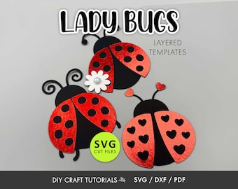 Layered Ladybug SVG | Cute Ladybug Cut Files | Ladybird SVG Bundle
