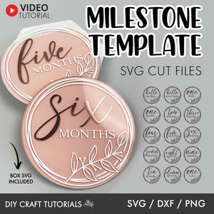 Baby Milestone SVG, Monthly milestone svg, Milestone discs svg, Baby milestone rounds svg, baby announcement svg, Acrylic Baby Milestone svg