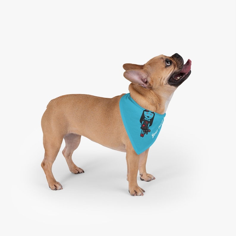 dog collar accessories