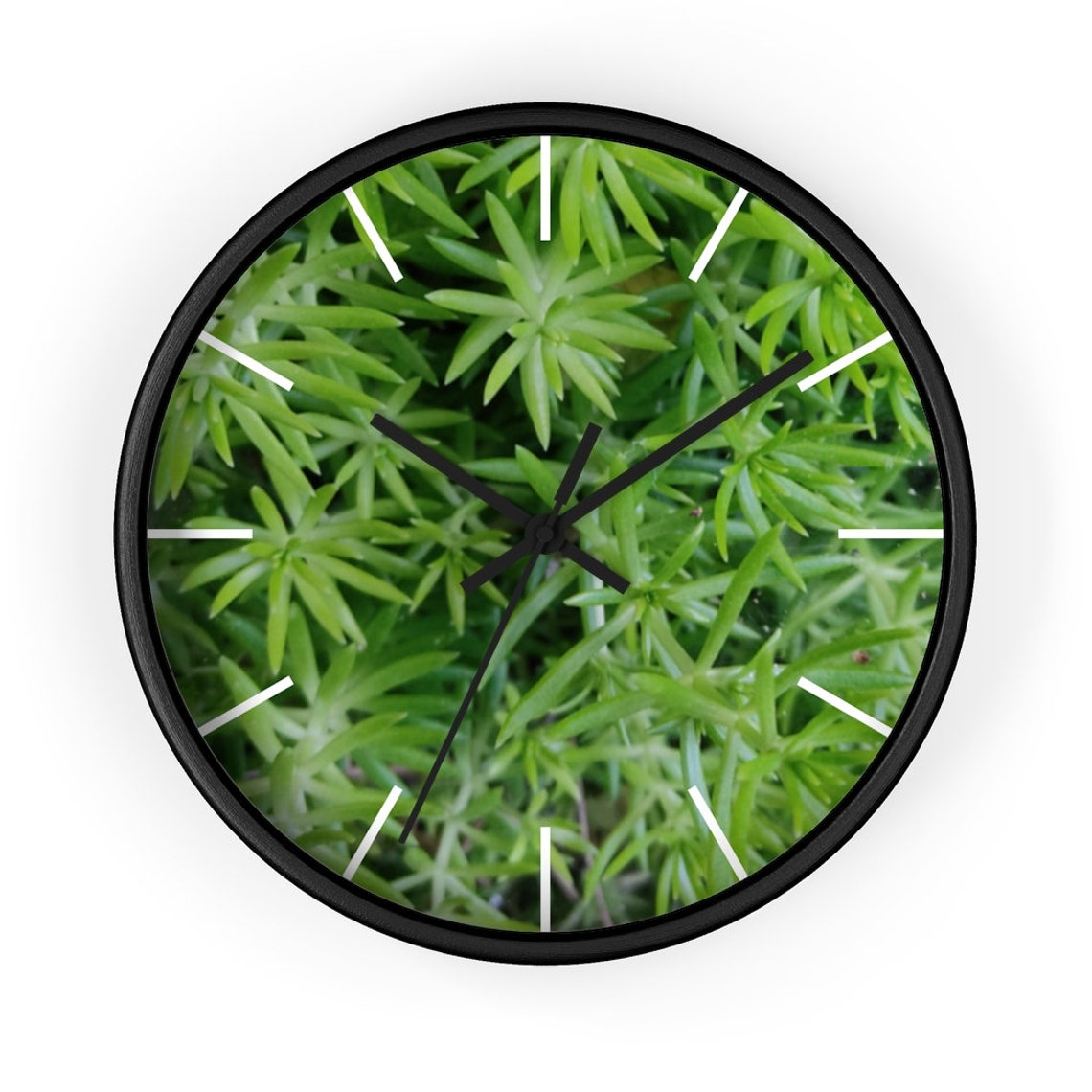 Uhr Foxtail FarnWanduhr echte Blätter Natur Wanduhr | Etsy