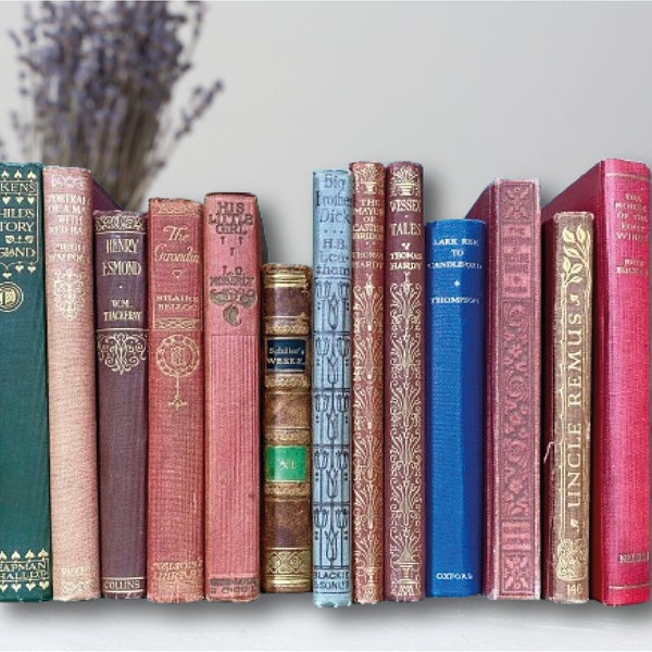 Adopt A Decorative Small Hardback Books - Old Vintage Upcycled Well Loved Classic Literature  - Victorian & Edwardian Classic Book Gifts