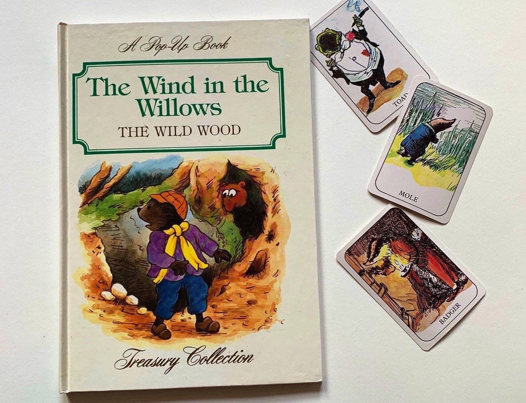 Vintage Illustrated Wind in the Willows Pop up Book Hardback - Etsy