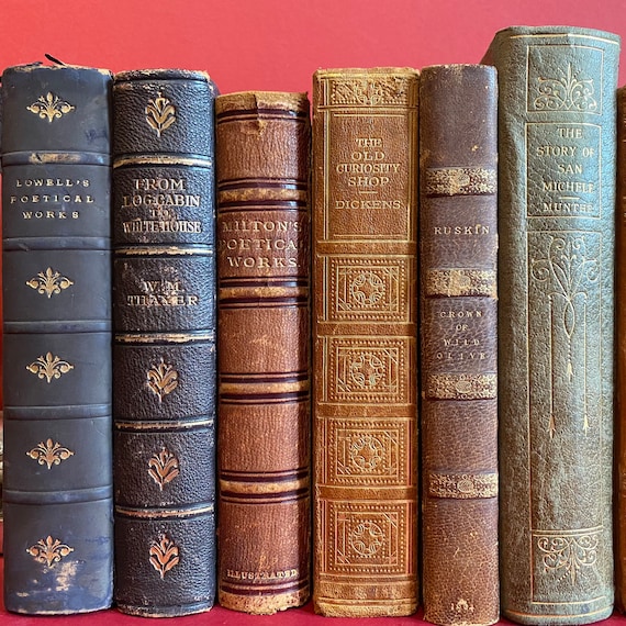 Vintage Leather Books 10 Large Old Antique Leather Bound Classic Literature  Carefully Curated Classic Decor Coffee Table Book Gift 