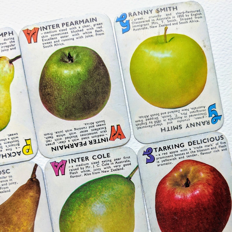 Vintage Childrens Illustrated Apples & Pears Card Game Etsy