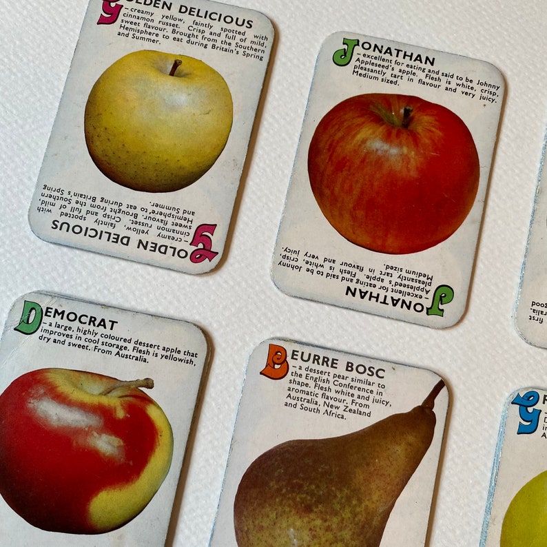 Vintage Childrens Illustrated Apples & Pears Card Game Etsy