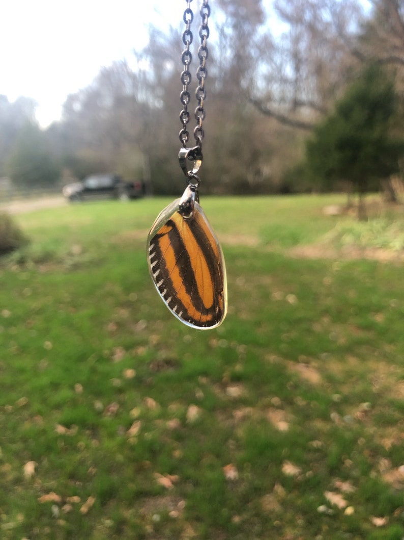 Real Tiger Mimic Butterfly Wing Necklace