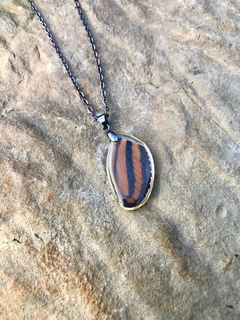 Real Tiger Mimic Butterfly Wing Necklace