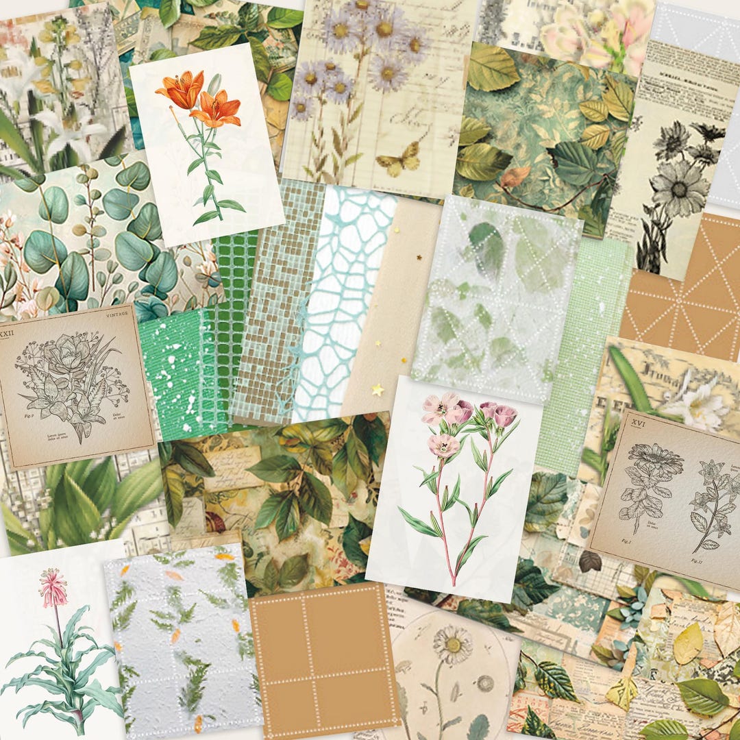 Vintage Botanical Scrapbook Mixed Pack, Junk Journal Scrappy Paper ...