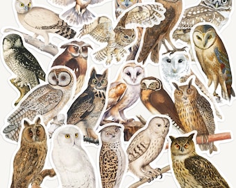 Vintage Owl Sticker Pack, Woodland Bird Ephemera for Scrapbooking, Journaling, Collage