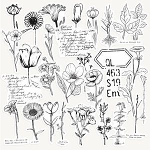 Botanischer Stempel-Effekt-Aufkleber, schwarz-weiße Blumenüberlagerung Scrapbooking, Journaling und Planer Aufkleber