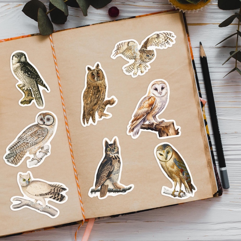Puede incluir: Un conjunto de diez pegatinas de b&uacute;hos que representan diferentes especies de b&uacute;hos en varias poses. Las pegatinas est&aacute;n impresas en papel blanco con un acabado brillante. Los b&uacute;hos se representan en un estilo realista con plumas y marcas detalladas.