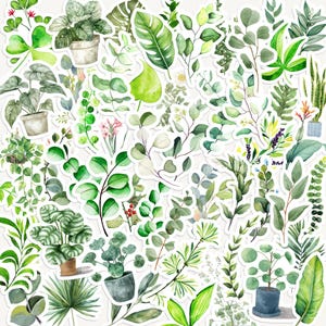 25 stickers feuilles vertes, botaniques, eucalyptus, plante en pot, autocollants pour agenda et scrapbooking