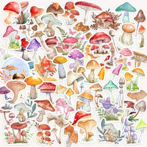 25 stickers champignons, champignon vénéneux, journal Fungi et stickers pour agenda