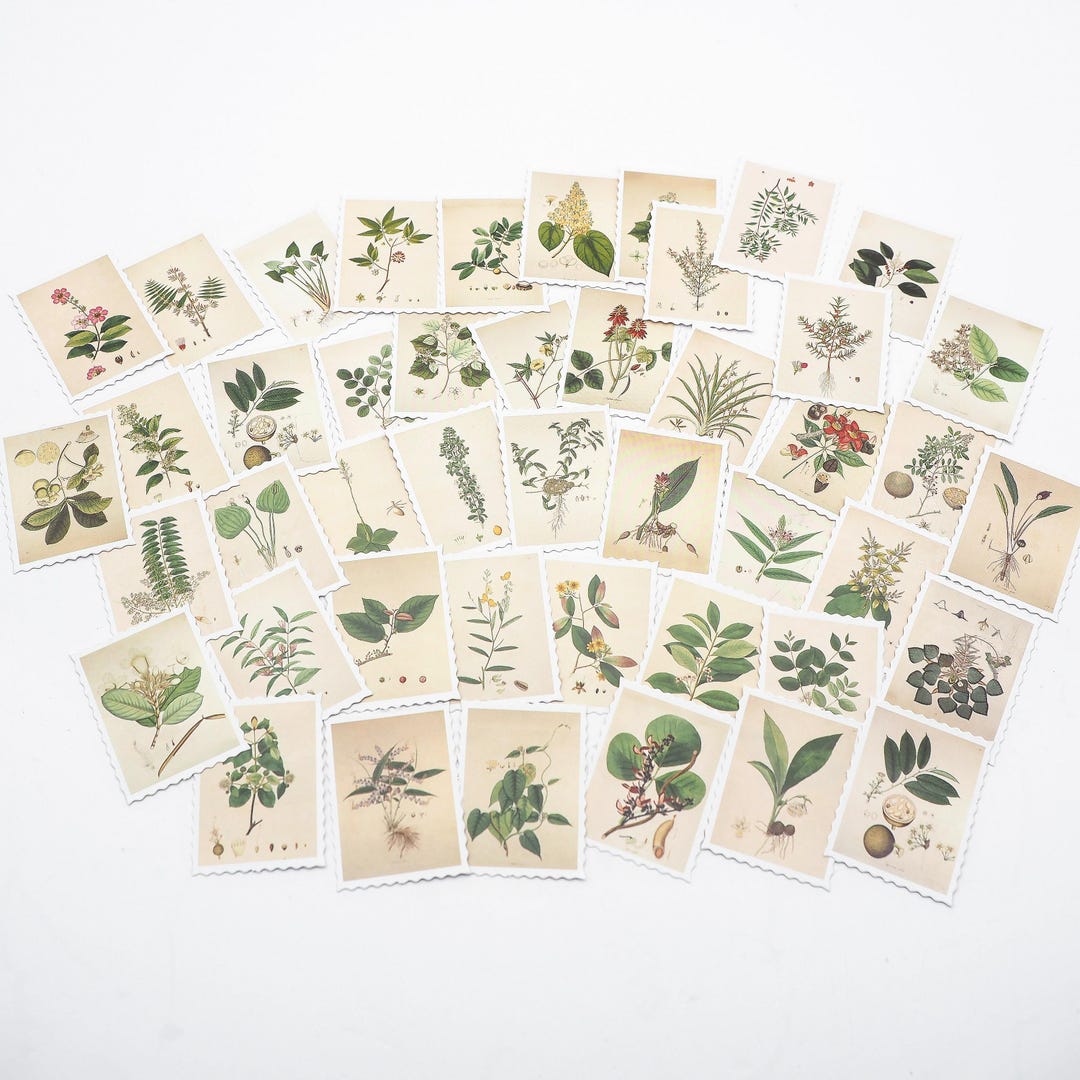 Vintage Botanical Stamp Stickers, Floral Leaf Stickers for Junk Journal ...
