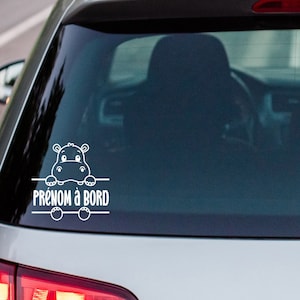 Baby on board / child on board