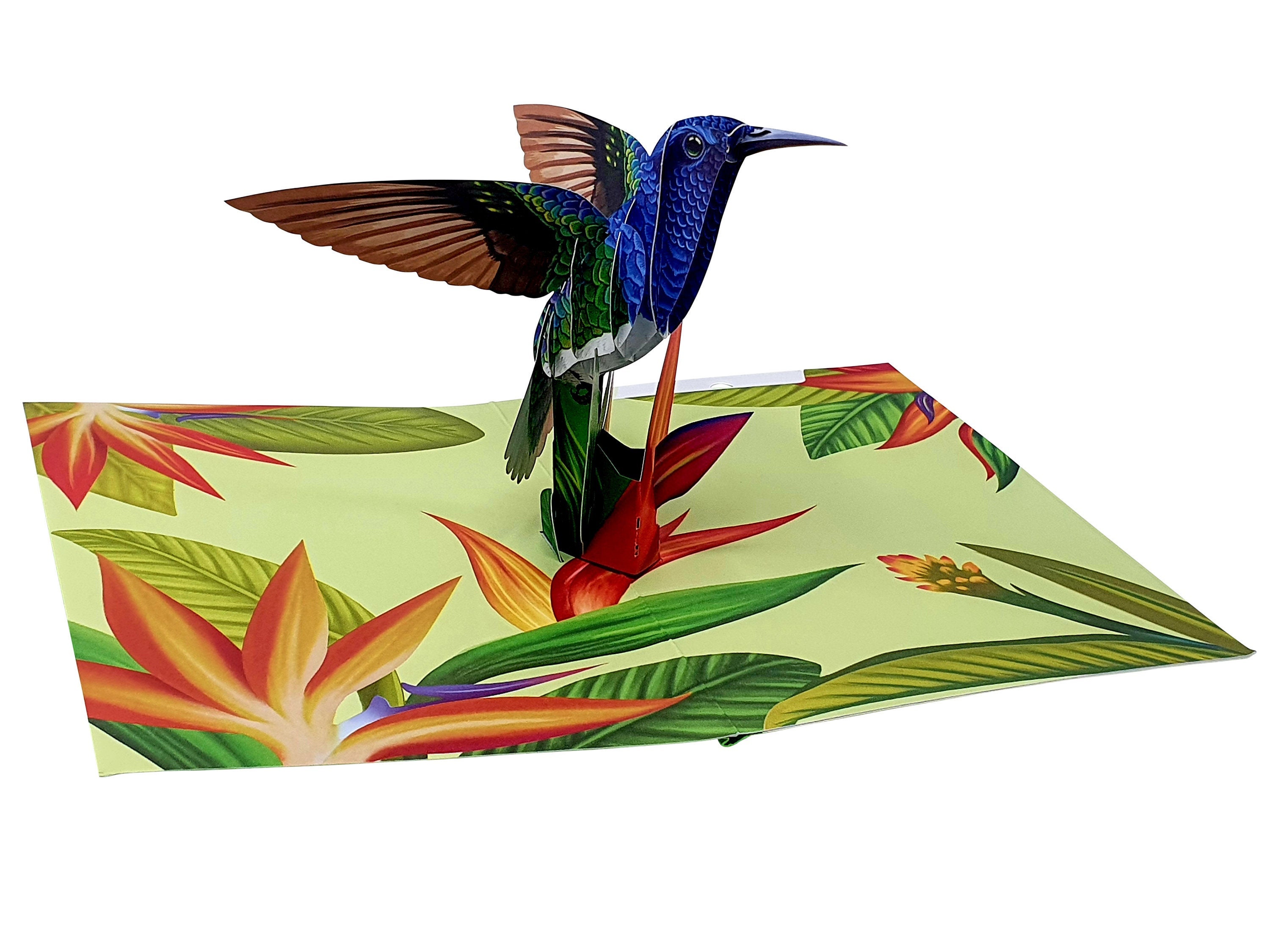 Hummingbird Pop up Card Bird 3D Card Greeting Cards for Mum Etsy UK