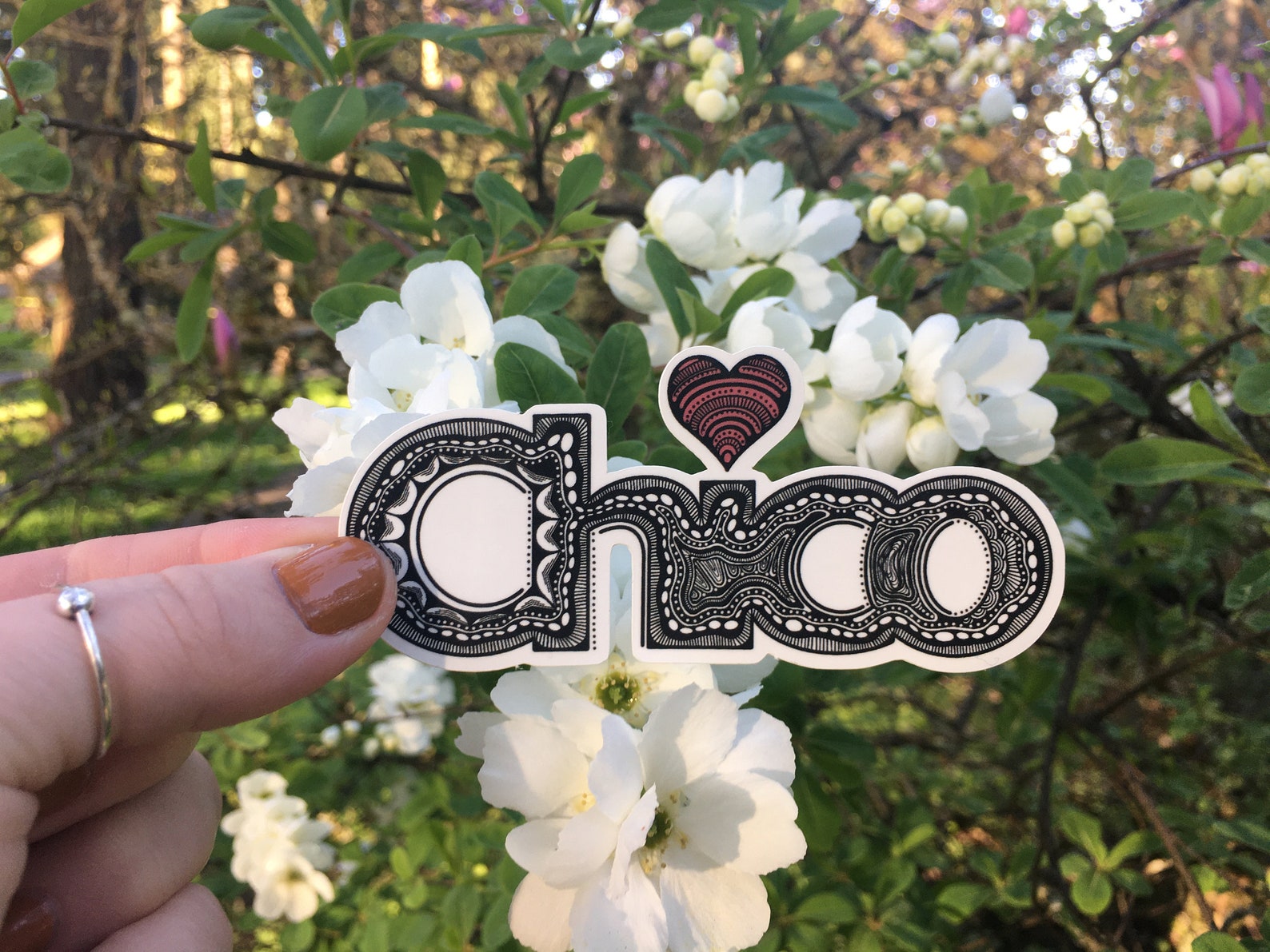 Chico California Sticker | Weatherproof Vinyl Decal | Illustrated CSU ...