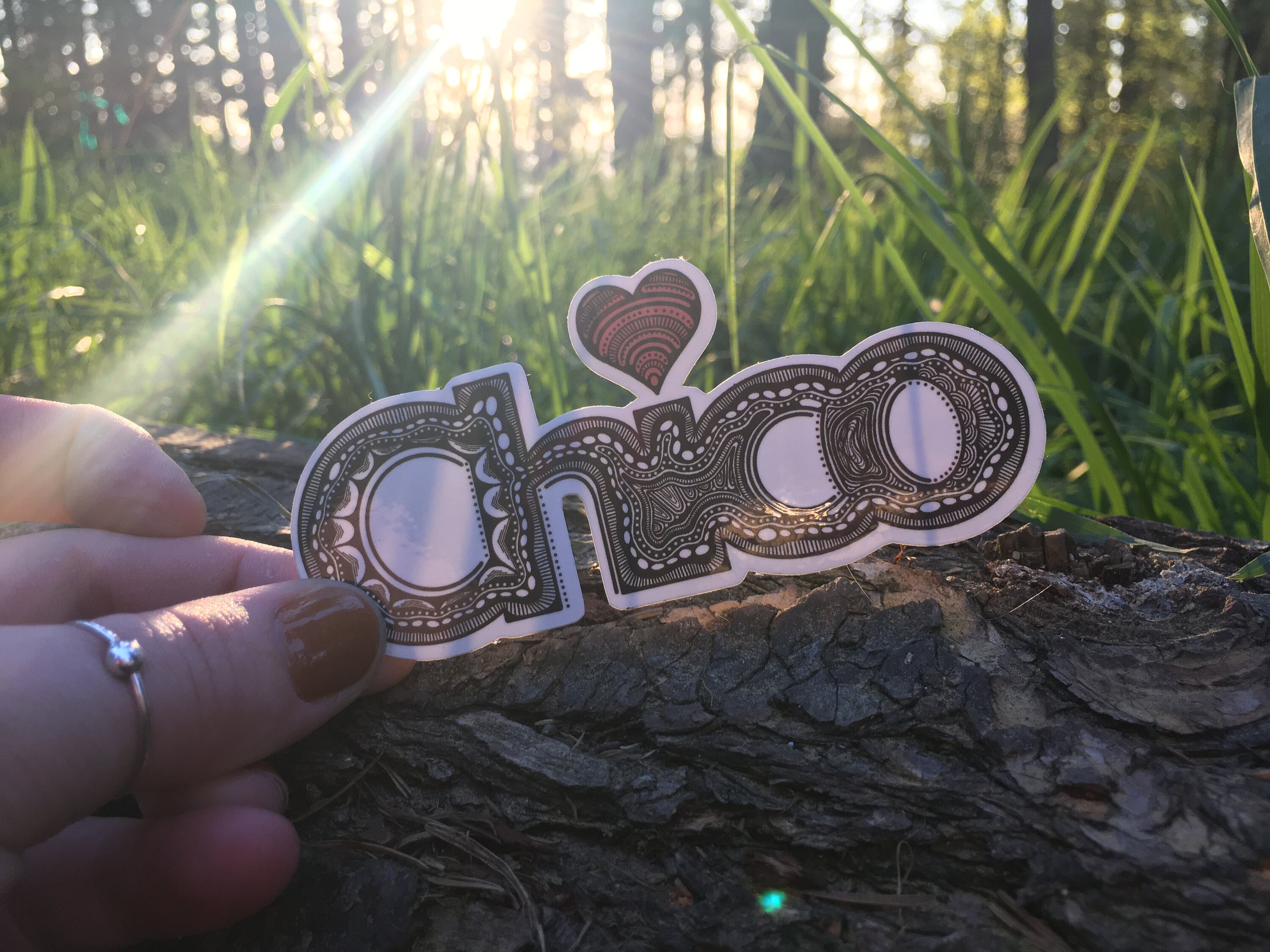Chico California Sticker | Weatherproof Vinyl Decal | Illustrated CSU ...