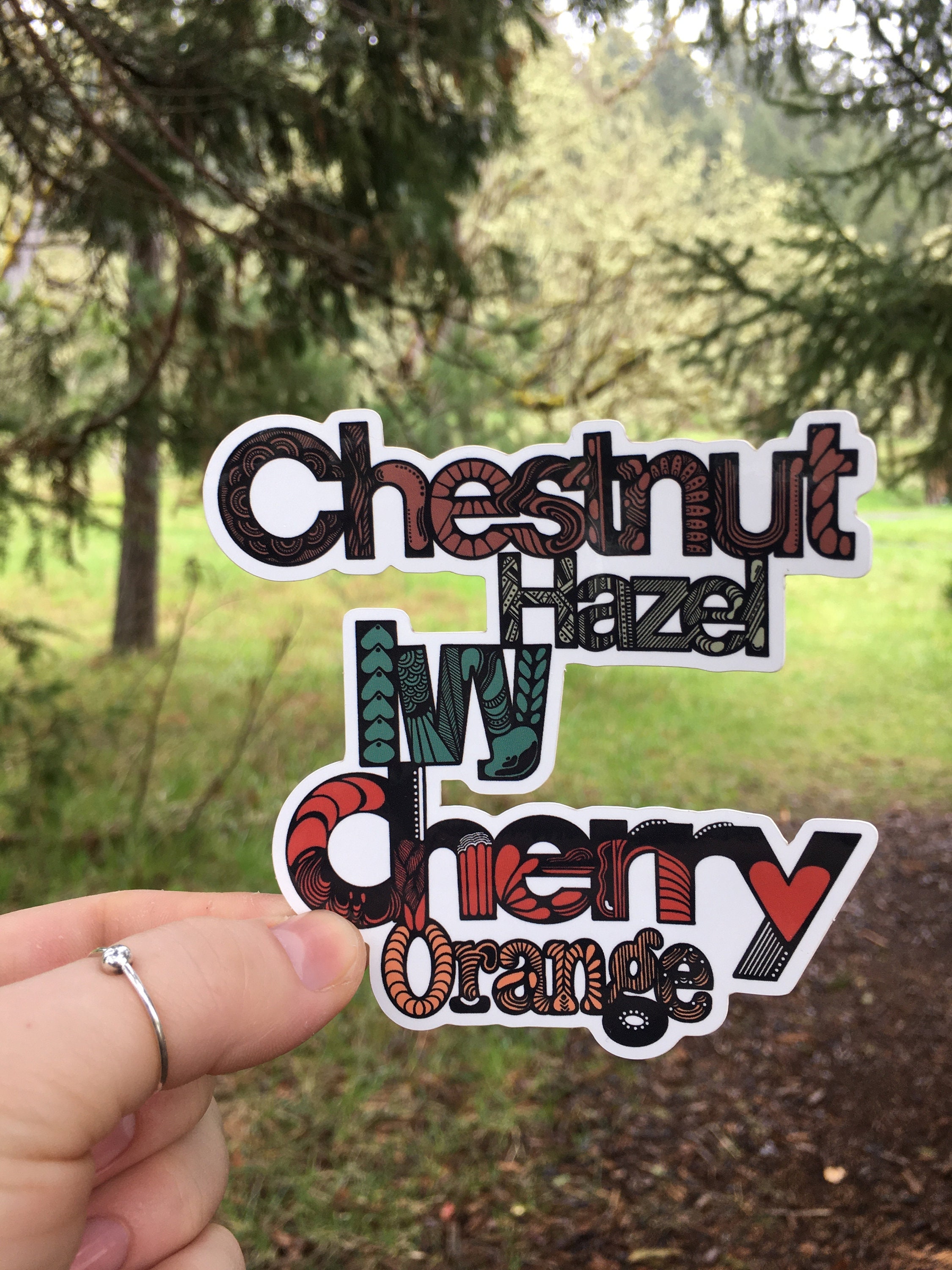 Chico State Sticker | Weatherproof Vinyl Decal | Illustrated CSU Chico ...