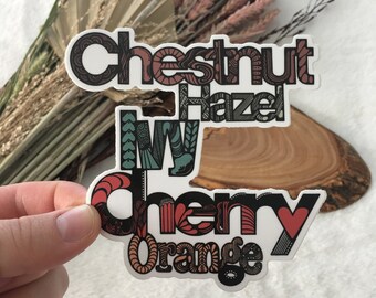 Chico State Sticker | Weatherproof Vinyl Decal | Illustrated CSU Chico Sticker | Zentangle Water Bottle Sticker | Outdoor Bumper Sticker