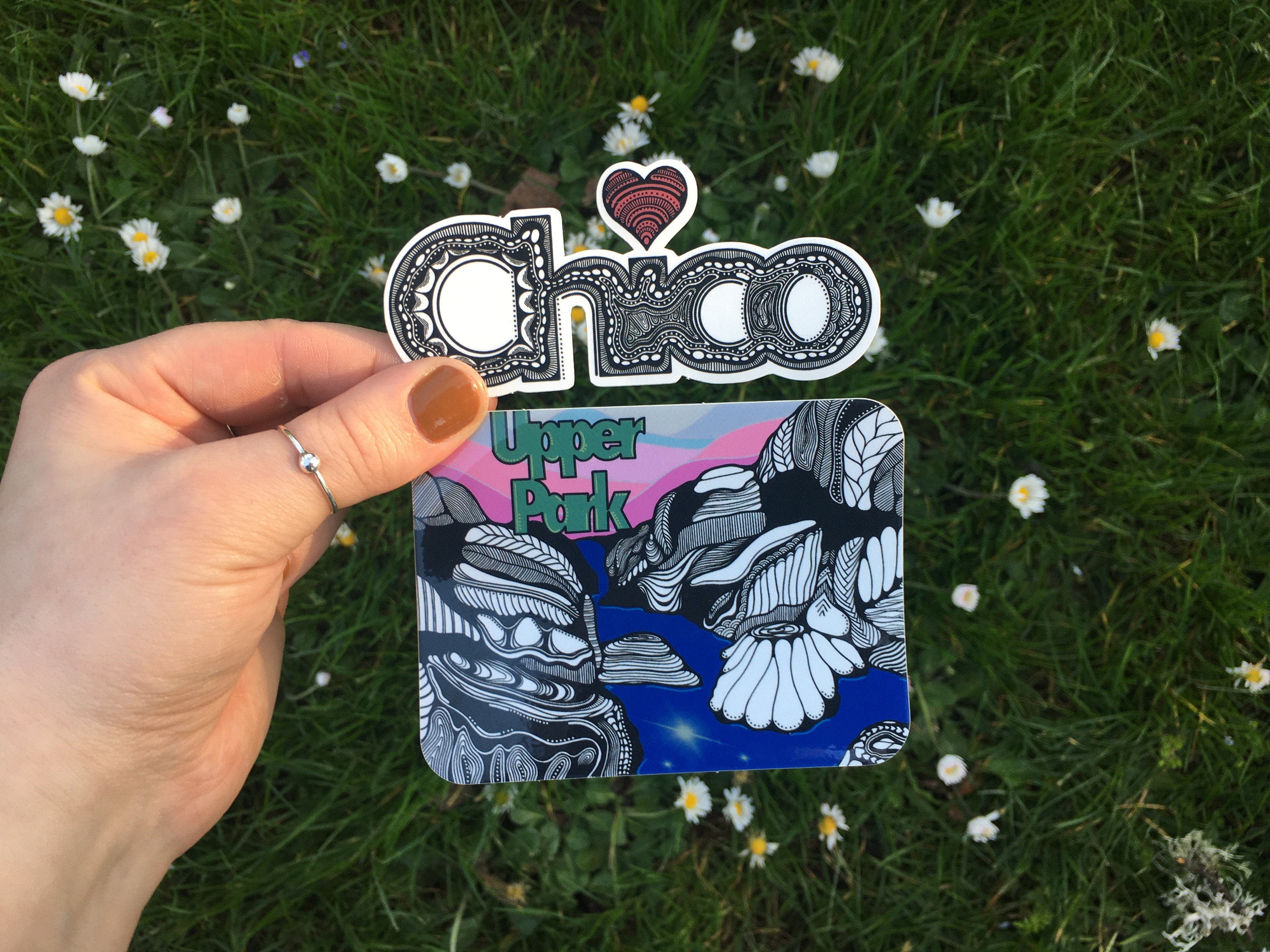 Chico California Sticker | Weatherproof Vinyl Decal | Illustrated CSU ...