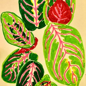 original pen artwork - plants