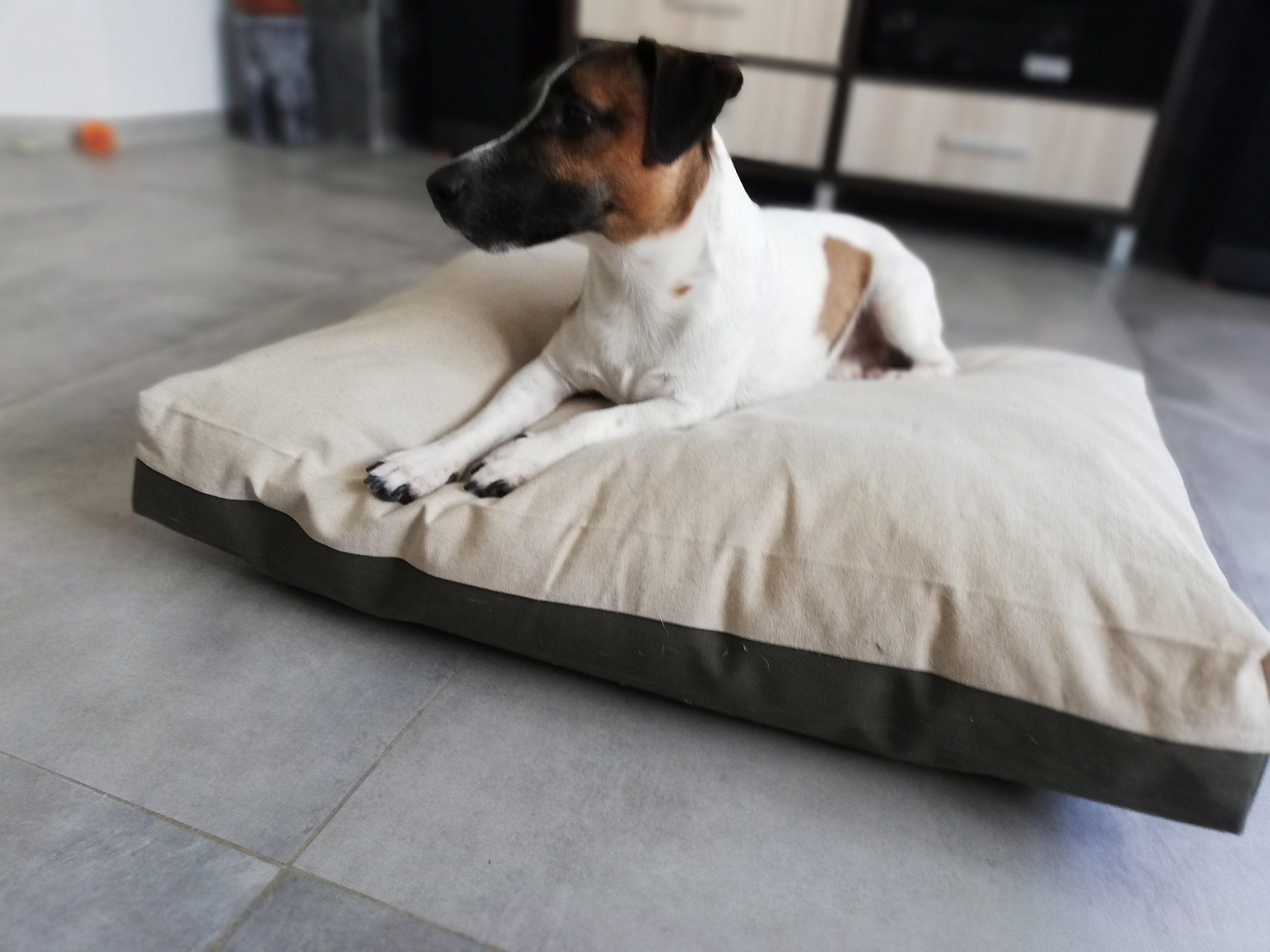 Linen Dog Bed Cover Waterproof Dog Bed Cover Dog Bed Duvet Etsy