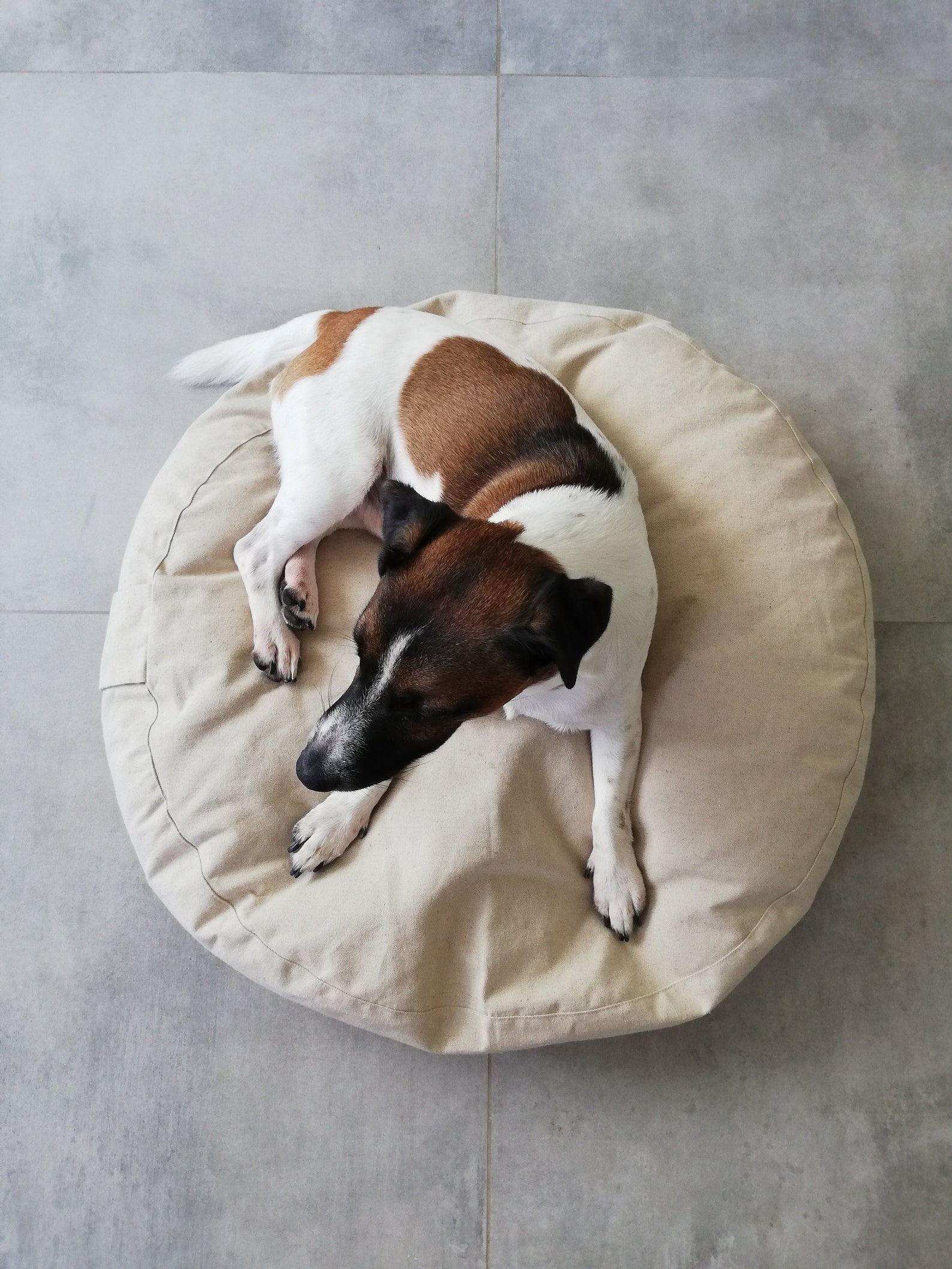 Linen Round Dog Bed Cover Washable Dog Bed Cover Dog Bed Etsy