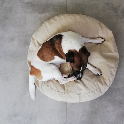 Dog Bed Insert 38 Round Etsy