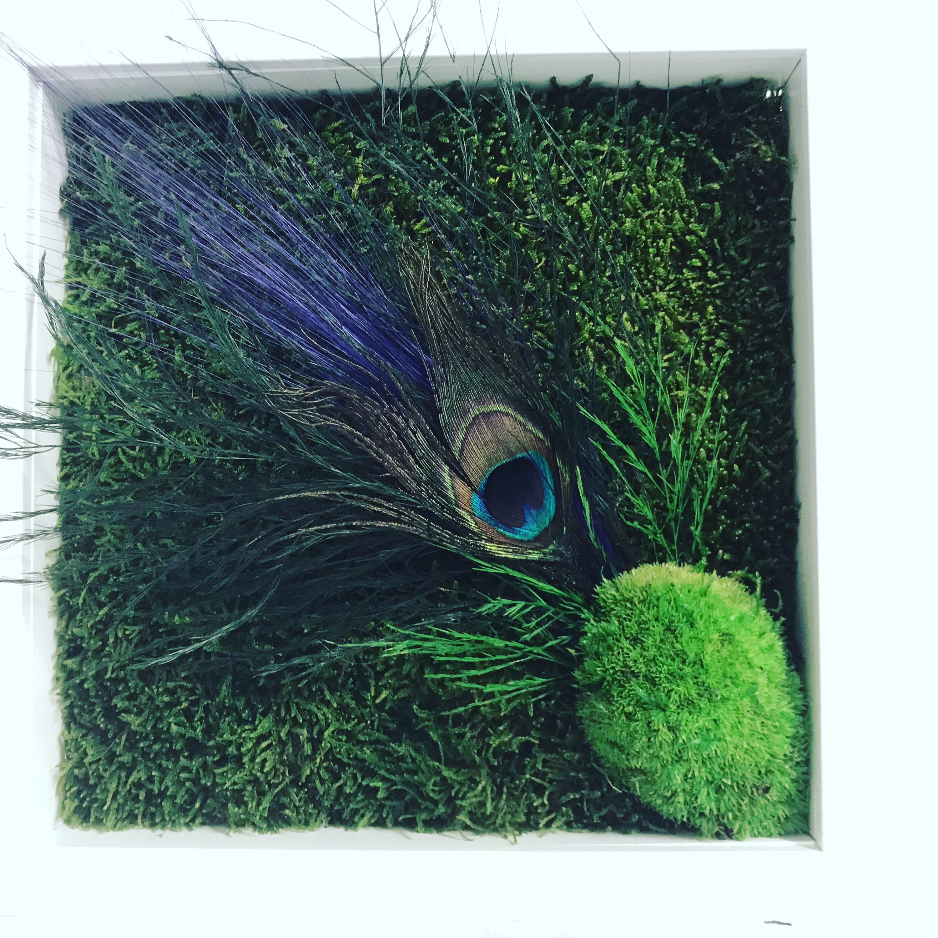 Tableau en Végétal Stabilisé Baya