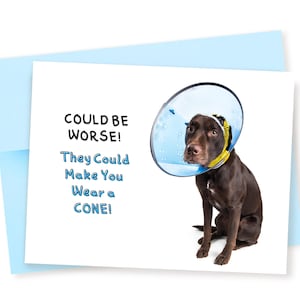May include: A brown dog wearing a blue plastic cone collar. The text on the card reads "Could be worse! They could make you wear a cone!"