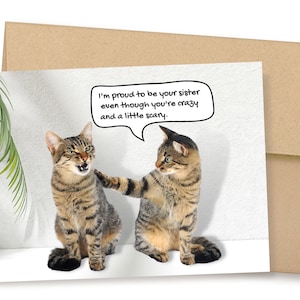 Funny Card For Sister, Funny Card For Brother, Sister Birthday Card Brother Birthday Card, Snarky Card, From Sister Card, Crazy Sibling Card
