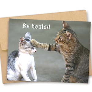 Funny Get Well Card, Feel Better Card, Sick Card, Well Wishes Card, Sympathy Card, Sick Pet Card, Cute Get Well Card, Be Healed Card