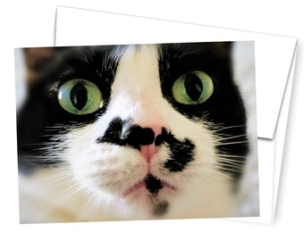 Funny Cat Photo Card, Cat Print 5x7, Animal Card, Tuxedo Cat Card, Cat Lovers Card, Blank Card