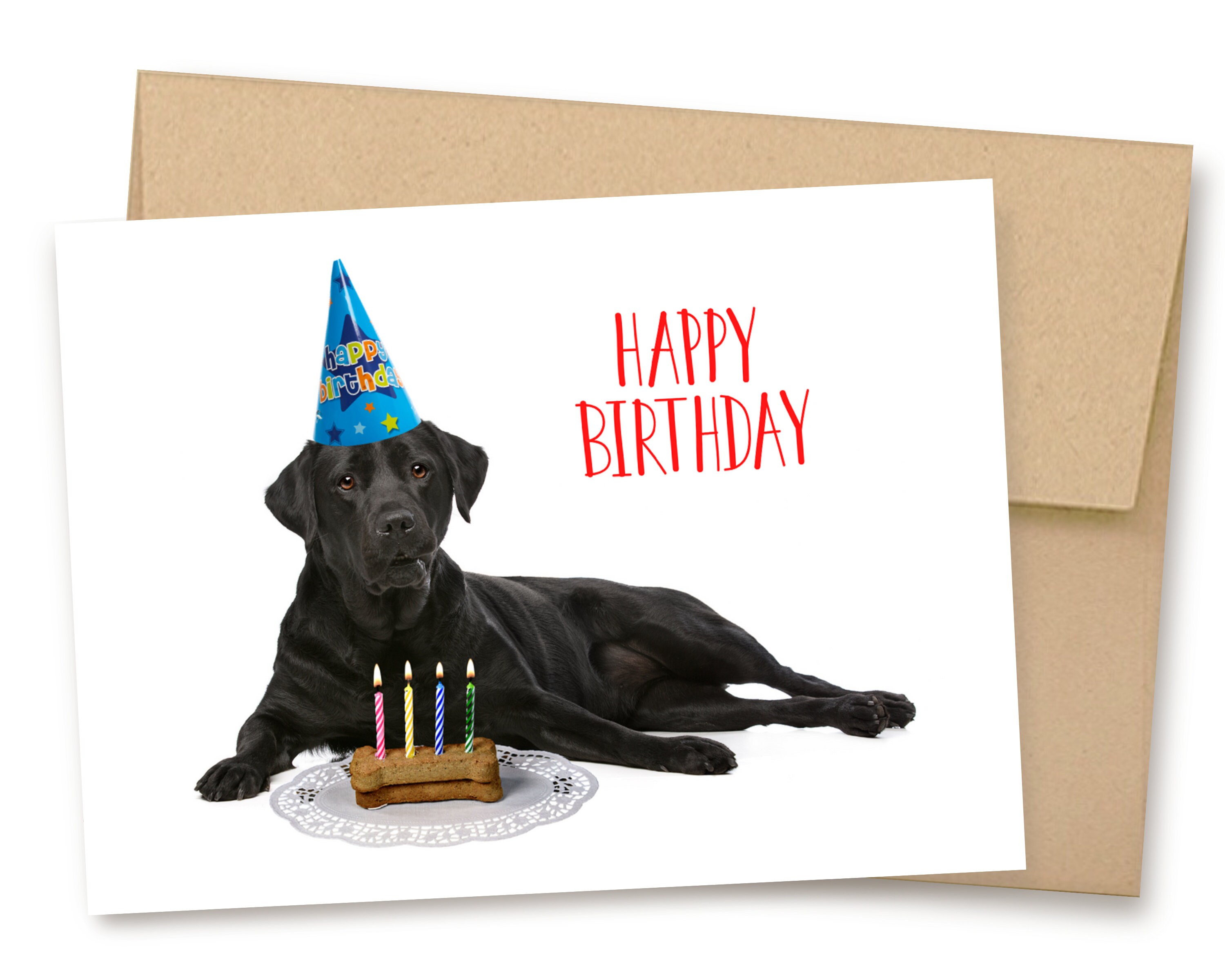 Happy Birthday Labrador Dog Cute Card By Lola Design Ltd