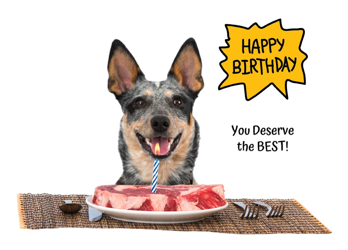 Steak Birthday Card Funny Birthday Card You're The Best Etsy