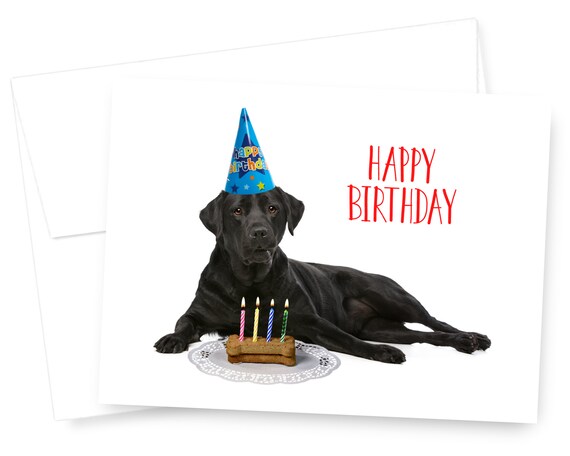 Carte Danniversaire Black Lab Carte Chien Carte Etsy France Carte Danniversaire Black Lab Carte Chien Carte Etsy France