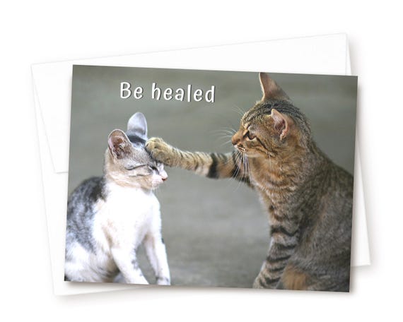 Old English Co. A Little Birdie Get Well Card - View #8