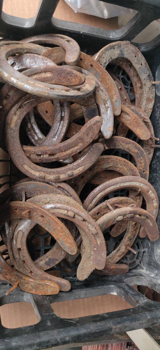 Single, Lot of 4, Lot of 10, Lot of 20 used Steel Horseshoes, Genuine