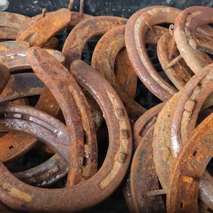 May include: A collection of weathered, rusty horseshoes in a black container. The horseshoes are a mix of sizes and show signs of age and use, with a prominent orange-brown rust color.