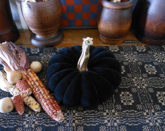 Black Velvet Pumpkin