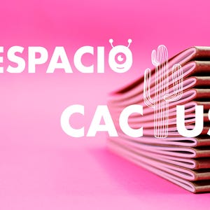 Puede incluir: Una pila de cuadernos marrones con páginas blancas, con el texto "ESPACIO CACTUS" y un cactus de dibujos animados con un solo ojo.