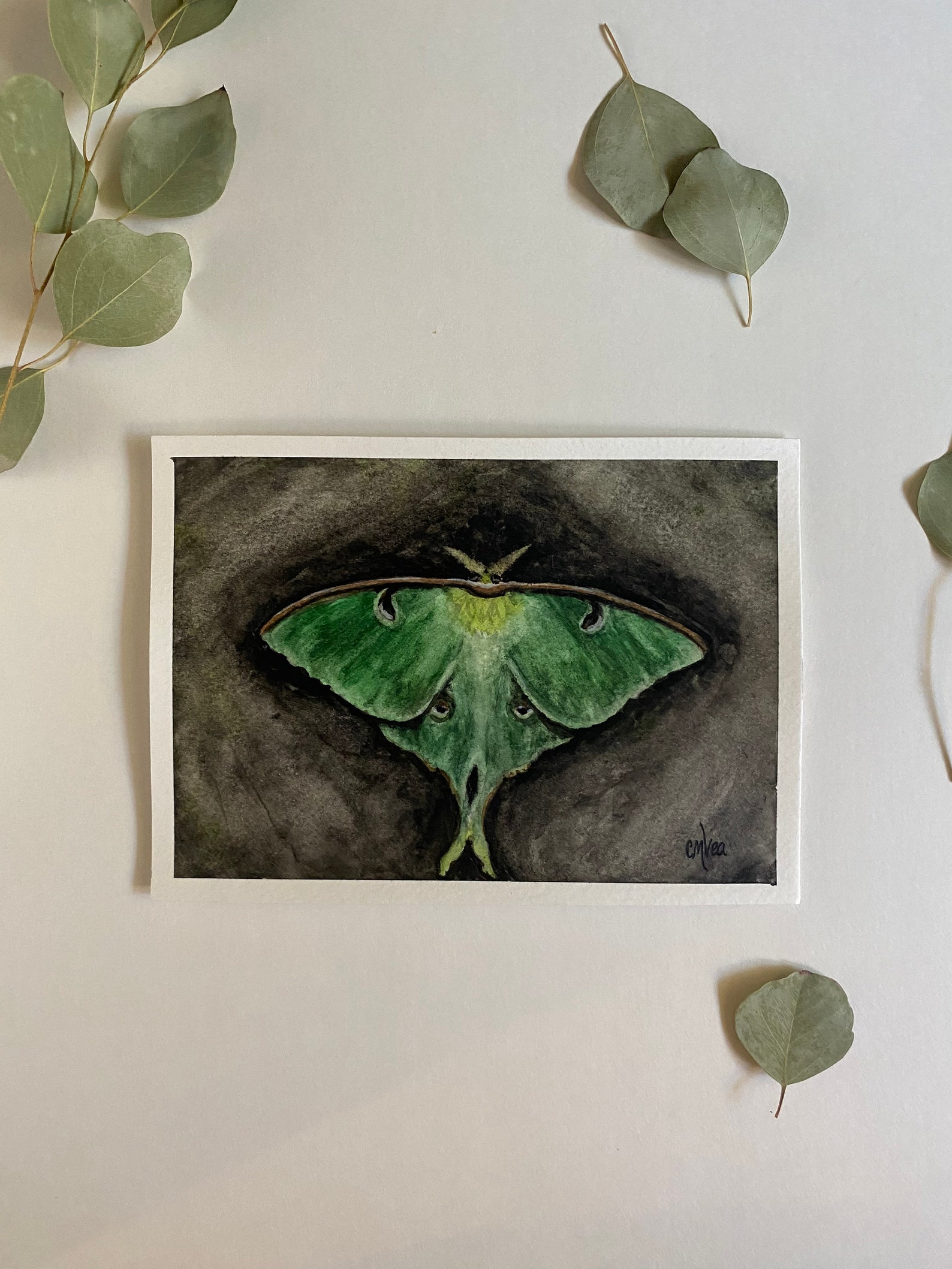 Dark Luna Moth Watercolor Painting Moody Moth Painting Moth - Etsy
