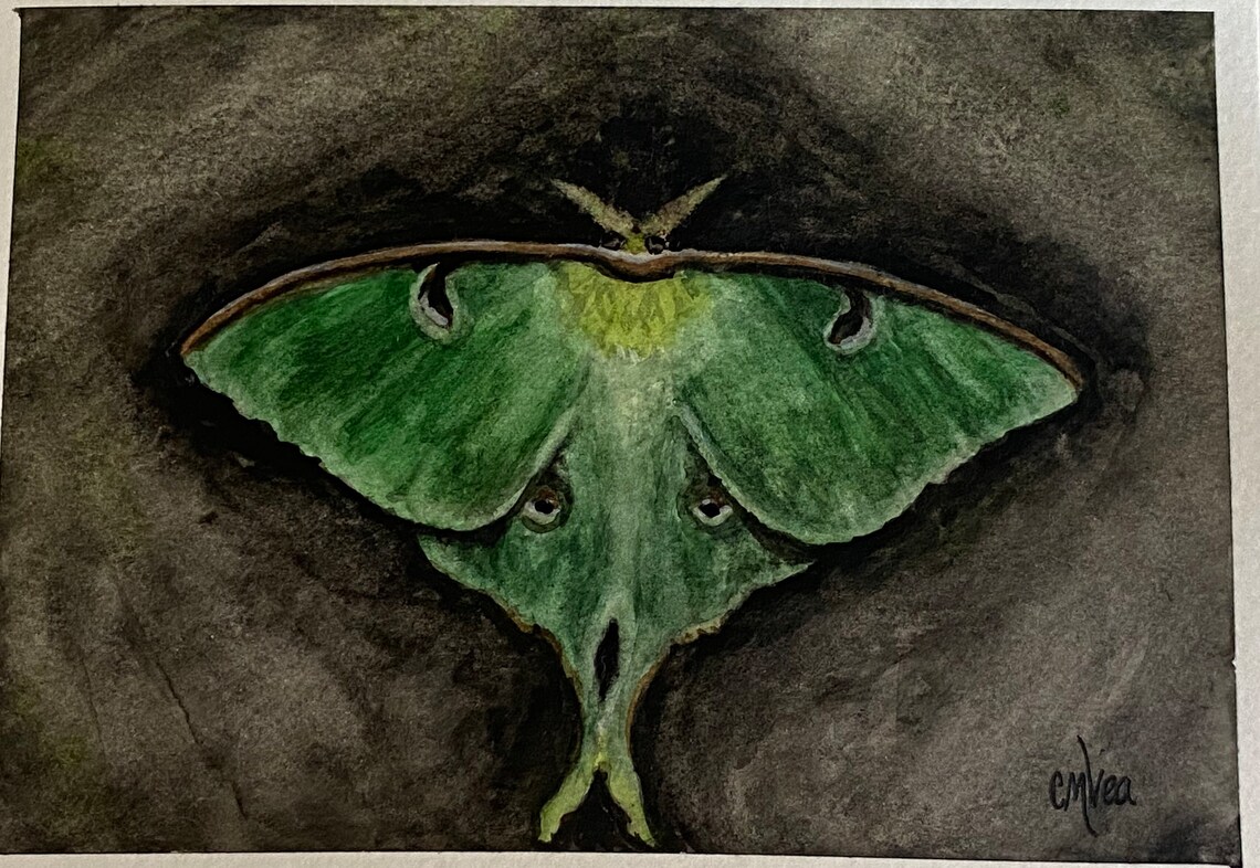 Dark Luna Moth Watercolor Painting Moody Moth Painting Moth - Etsy