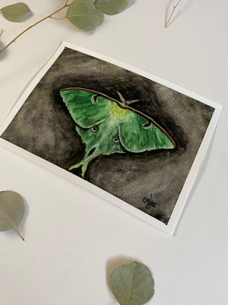 Dark Luna Moth Watercolor Painting: Moody Insect Art (5x7 Inches) - Etsy